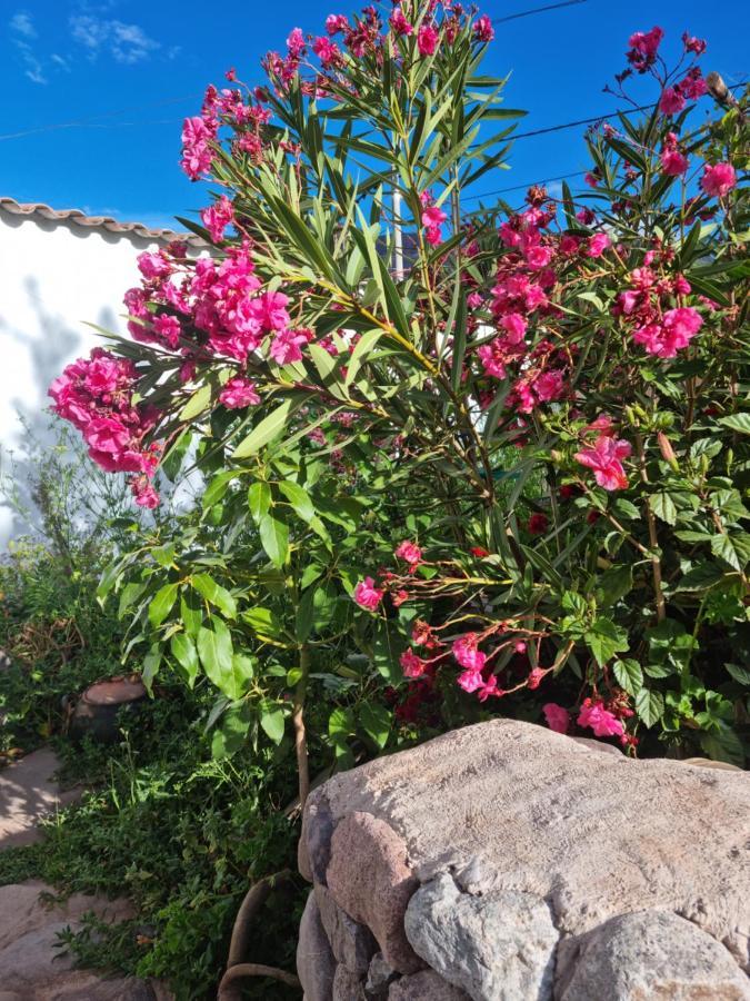 Flores De La Villa Уайоккаре Экстерьер фото